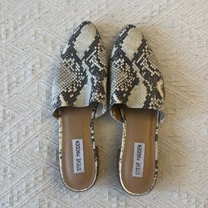 Steve Madden mules